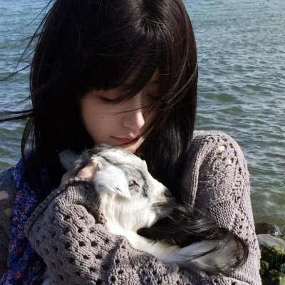 我的老板是小猪