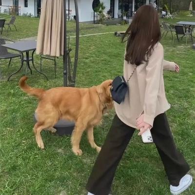 死亡低语2019